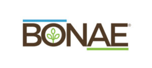 bonae